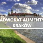 Adwokat alimenty Kraków